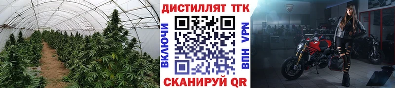 Дистиллят ТГК концентрат  Пласт 