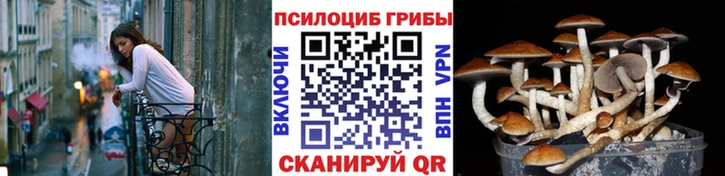 наркотики  Пласт  Псилоцибиновые грибы мухоморы 